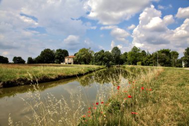 Arka planda terk edilmiş bir evi olan ekilmemiş gelinciklerle dolu bir tarla İtalya 'nın kırsal kesimlerinde bir yaz günü su deresinin yanında.