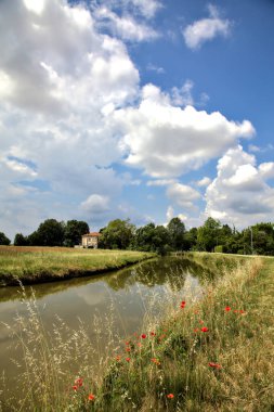 Arka planda terk edilmiş bir evi olan ekilmemiş gelinciklerle dolu bir tarla İtalya 'nın kırsal kesimlerinde bir yaz günü su deresinin yanında.