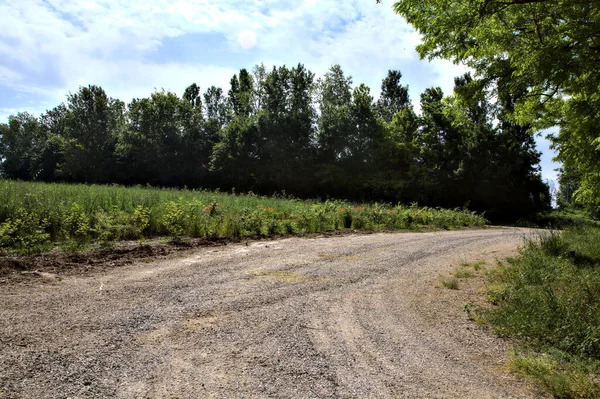 Dirt Road Next Field Countryside — Stock Photo, Image