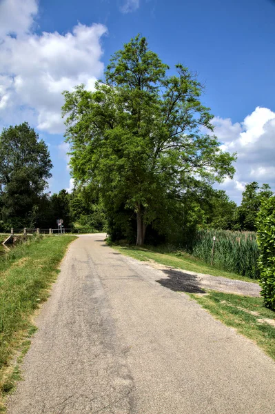 Bike Path Next Stream Water Italian Countryside Summer — Stock Photo, Image