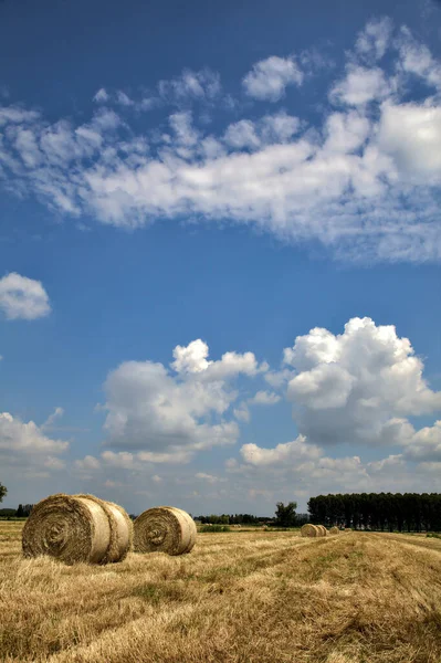 Heuballen Auf Einem Feld Der Italienischen Landschaft Sommer — Stockfoto