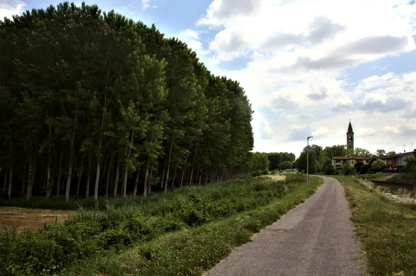 Caminho Bicicleta Campo Italiano Verão Com Uma Torre Sineira Distância — Fotografia de Stock