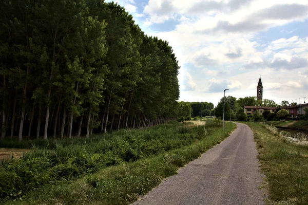 Kerékpárút Olasz Vidéken Nyáron Harangtoronnyal Távolban — Stock Fotó