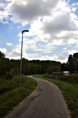 İtalyan kırsalındaki huş ağacının yanındaki su deresinin yanındaki bisiklet yolu.