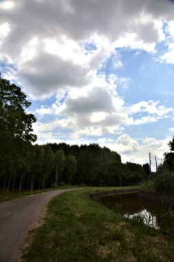 İtalyan kırsalındaki huş ağacının yanındaki su deresinin yanındaki bisiklet yolu.