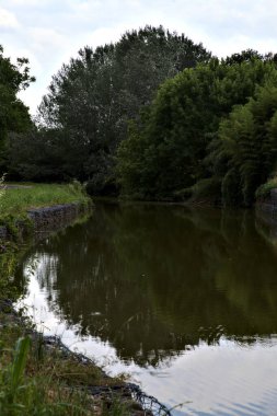 İtalyan kırsalındaki huş ağacının yanındaki su deresinin yanındaki bisiklet yolu.