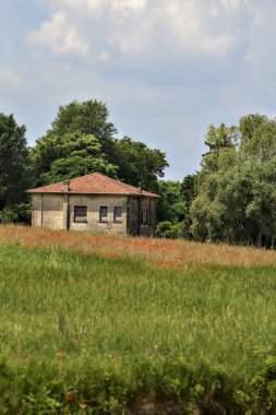 Yazın İtalya kırsalında önünde haşhaş tarlası olan bir korulukta terk edilmiş ev.