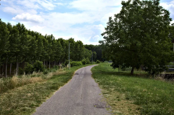 Bike Path Italian Countryside Cloudy Day Summer — Stock Photo, Image