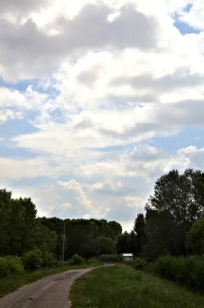 Велосипедная Дорожка Итальянской Сельской Местности Облачный День Летом — стоковое фото