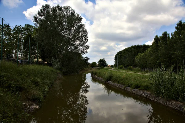 Fietspad Naast Een Waterstroom Naast Een Berkenplantage Het Italiaanse Platteland — Stockfoto