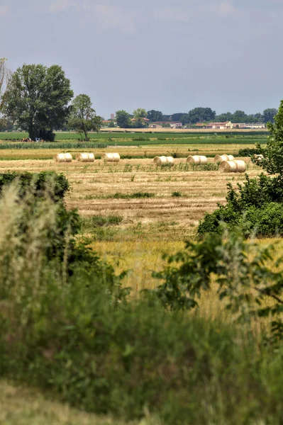 Ploughed Fields Italian Countryside Summer Bales Hay — Φωτογραφία Αρχείου