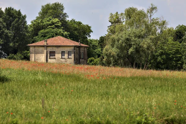 夏のイタリアの田舎で その前にケシのフィールドを持つ森の中の放棄された家 — ストック写真