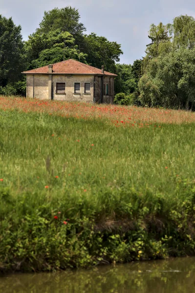 Casa Abandonada Bosque Com Campo Papoilas Frente Dele Campo Italiano — Fotografia de Stock