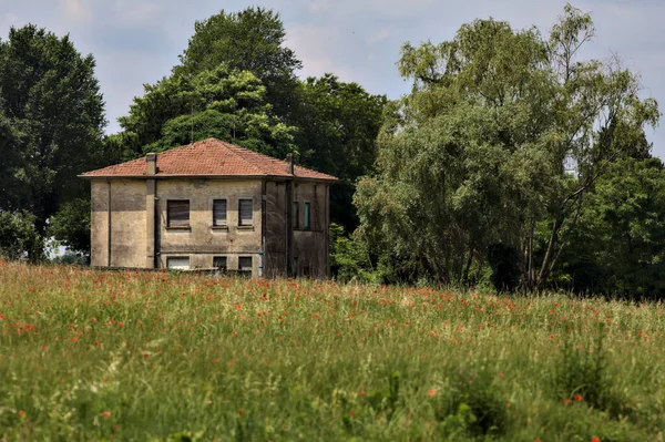 夏のイタリアの田舎で その前にケシのフィールドを持つ森の中の放棄された家 — ストック写真