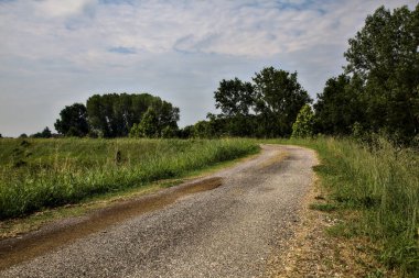 Yazın İtalya kırsalındaki tarlaların ortasındaki bir yamaçta bisiklet yolu.