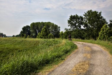 Yazın İtalya kırsalındaki tarlaların ortasındaki bir yamaçta bisiklet yolu.