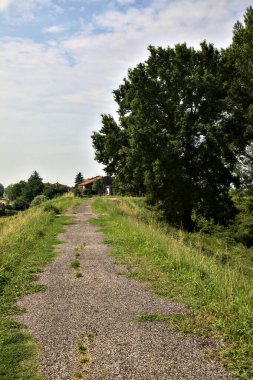 Yazın İtalya kırsalındaki tarlaların ortasındaki bir yamaçta bisiklet yolu.