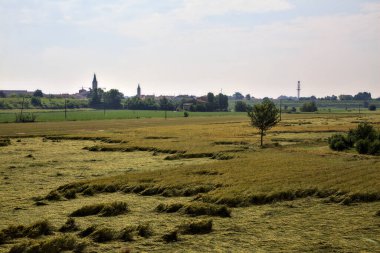 Tahıl tarlası yazın İtalya 'nın uzak bir kırsalında kısmen harap oldu.
