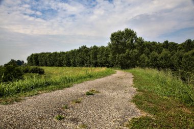 Yazın İtalya kırsalındaki tarlaların ortasındaki bir yamaçta bisiklet yolu.