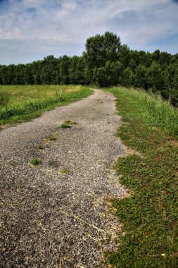 Yazın İtalya kırsalındaki tarlaların ortasındaki bir yamaçta bisiklet yolu.