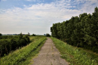 Yazın İtalya kırsalındaki tarlaların ortasındaki bir yamaçta bisiklet yolu.