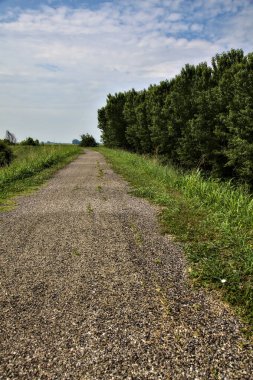 Yazın İtalya kırsalındaki tarlaların ortasındaki bir yamaçta bisiklet yolu.