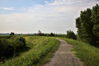 Yazın İtalya kırsalındaki tarlaların ortasındaki bir yamaçta bisiklet yolu.