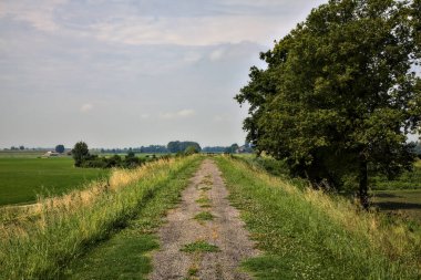 Yazın İtalya 'nın kırsalında bir dizi selvi ile çevrili bir nehir kenarındaki bisiklet yolu.