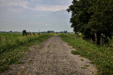 Yazın İtalya 'nın kırsalında bir dizi selvi ile çevrili bir nehir kenarındaki bisiklet yolu.
