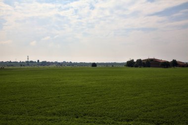 İtalya kırsalında bir yaz günü gün ortasında saman balyalarıyla tarlalar