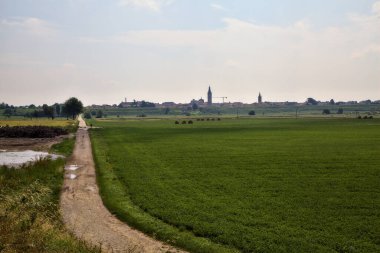 Yazın İtalya kırsalındaki bir köye giden tarlanın yanındaki toprak yolda.