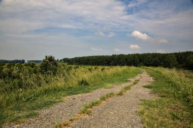 Yazın İtalya kırsalındaki tarlaların ortasındaki bir yamaçta bisiklet yolu.