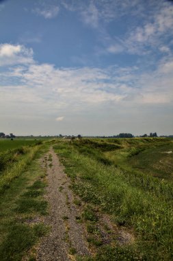 Yazın İtalya kırsalındaki tarlaların ortasındaki bir yamaçta bisiklet yolu.