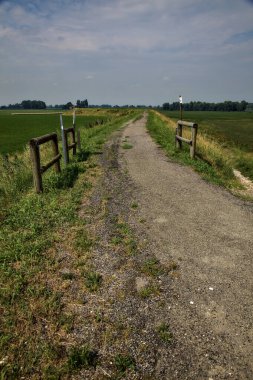 Yazın İtalya kırsalındaki tarlaların ortasındaki bir yamaçta bisiklet yolu.