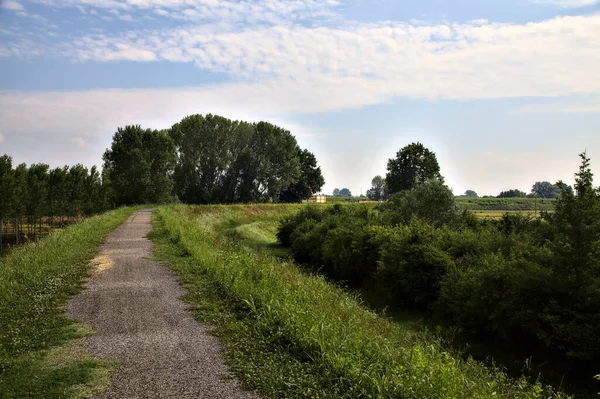 Piste Cyclable Sur Enbankment Milieu Des Champs Dans Campagne Italienne — Photo