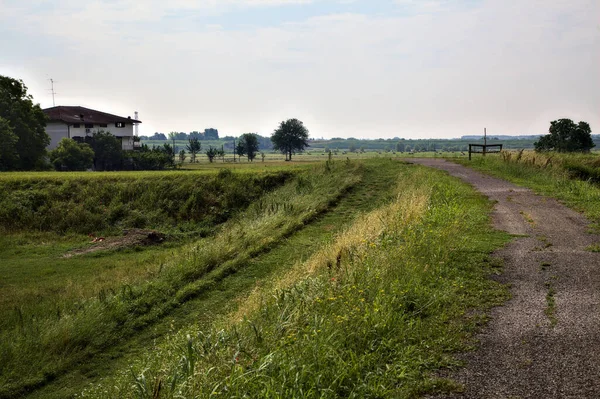 Radweg Auf Einer Böschung Inmitten Der Felder Der Italienischen Landschaft — Stockfoto