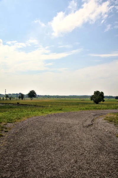 Pista Ciclabile Argine Mezzo Campi Nella Campagna Italiana Estate — Foto Stock