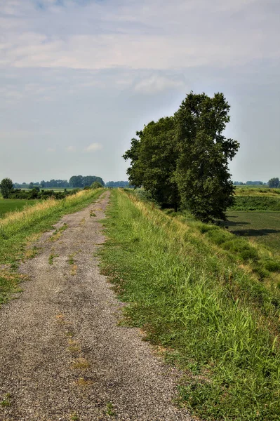 Pista Ciclabile Argine Delimitato Una Fila Cipressi Nella Campagna Italiana — Foto Stock