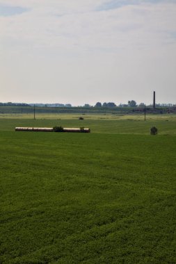 İtalya kırsalında bir yaz günü gün ortasında saman balyalarıyla tarlalar