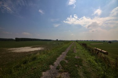 Yazın İtalya kırsalındaki tarlaların ortasındaki bir yamaçta bisiklet yolu.