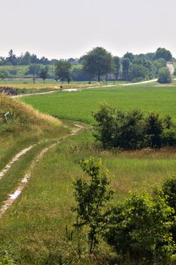 Yazın İtalya kırsalındaki bir köye giden tarlanın yanındaki toprak yolda.