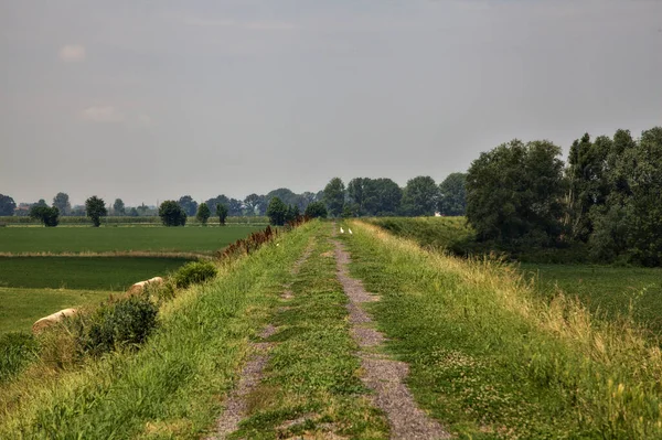 Radweg Auf Einer Böschung Inmitten Der Felder Der Italienischen Landschaft — Stockfoto