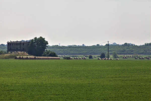 Champs Avec Balles Foin Sur Une Journée Été Dans Campagne — Photo