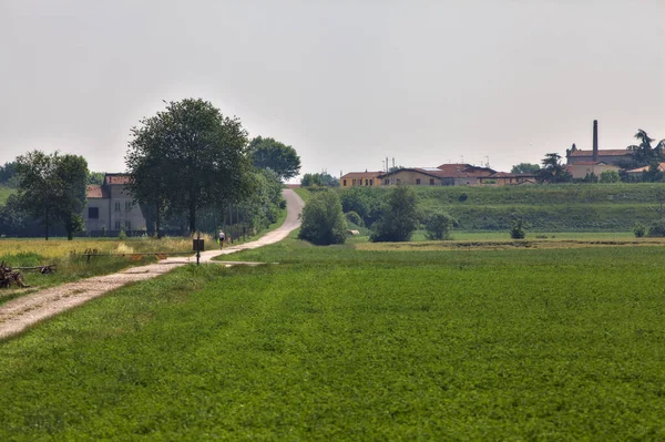 Schotterpiste Neben Einem Feld Das Sommer Einem Dorf Der Italienischen — Stockfoto