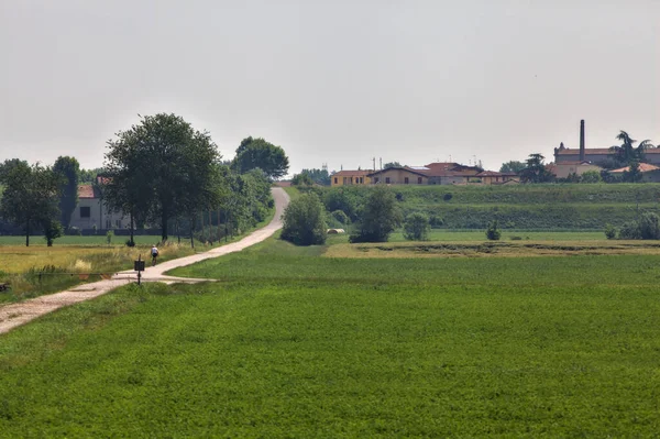 Dirt Road Next Field Leads Village Italian Countryside Summer — Stock Photo, Image