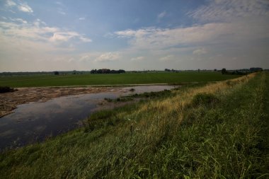 Kırsalda bir tarlanın yanında duran su.