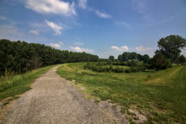 Yazın İtalya kırsalındaki tarlaların ortasındaki bir yamaçta bisiklet yolu.