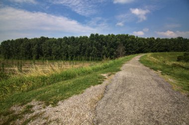 Yazın İtalya kırsalındaki tarlaların ortasındaki bir yamaçta bisiklet yolu.