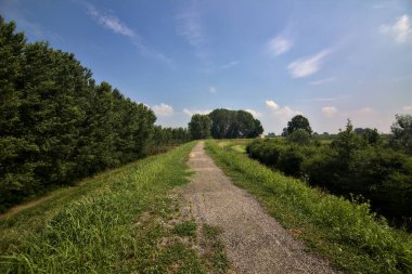 Yazın İtalya kırsalındaki tarlaların ortasındaki bir yamaçta bisiklet yolu.