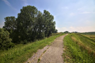 Yazın İtalya kırsalındaki tarlaların ortasındaki bir yamaçta bisiklet yolu.